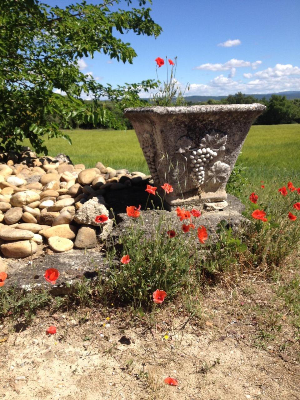 Villa La Salamandre Bleue Chantemerle-lès-Grignan Exterior foto